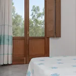 Biderrosa 3*